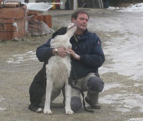 Attila in famiglia